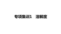 2022年湖南省益阳市中考化学专项集训1溶解度课件