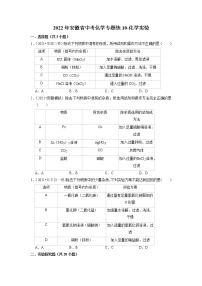 2022年安徽省中考化学专题练10-化学实验