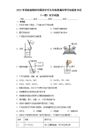 2022年河南省郑州外国语中学九年级普通高等学校招生考试（一模）化学试题(word版含答案)