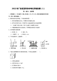 2022年广东省深圳市中考模拟化学试卷1(word版含答案)