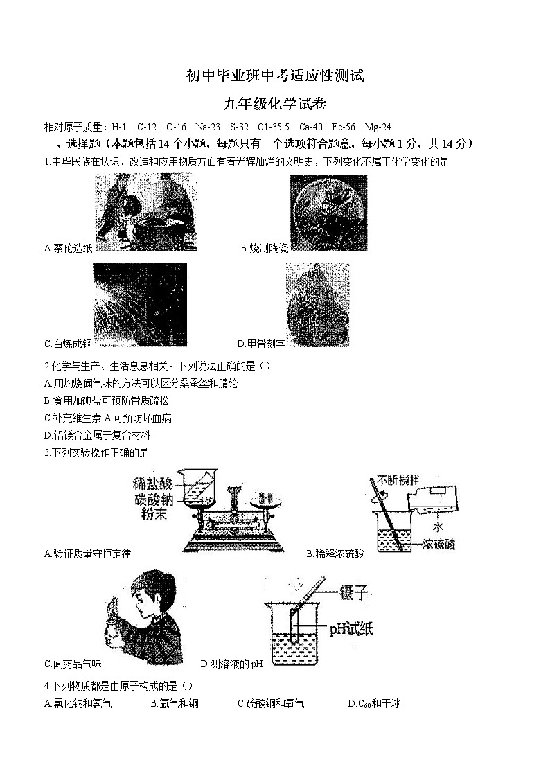 2022年河南省安阳市林州市九年级中考适应性考试（一模）化学试题(word版含答案)第1页