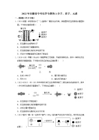 2022年安徽省中考化学专题练1-分子、原子、元素