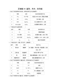 中考化学挑战压轴题专项练习8 鉴别、共存、除杂题（含答案）