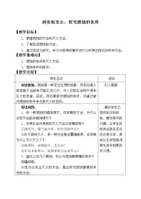 鲁教版九年级上册到实验室去：探究燃烧的条件教案及反思