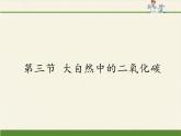 鲁教版九年级化学上册 6.3  大自然中的二氧化碳(1) 课件