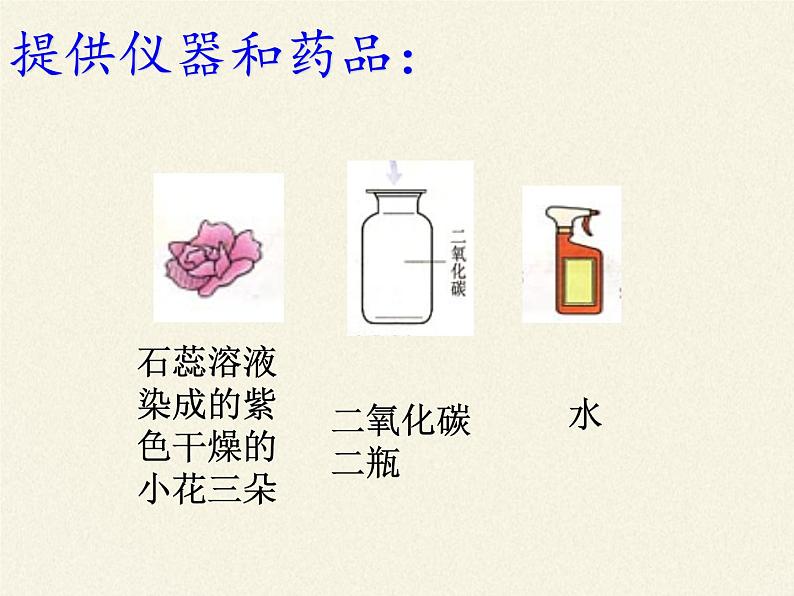 鲁教版九年级化学上册 6.3  大自然中的二氧化碳(1) 课件06