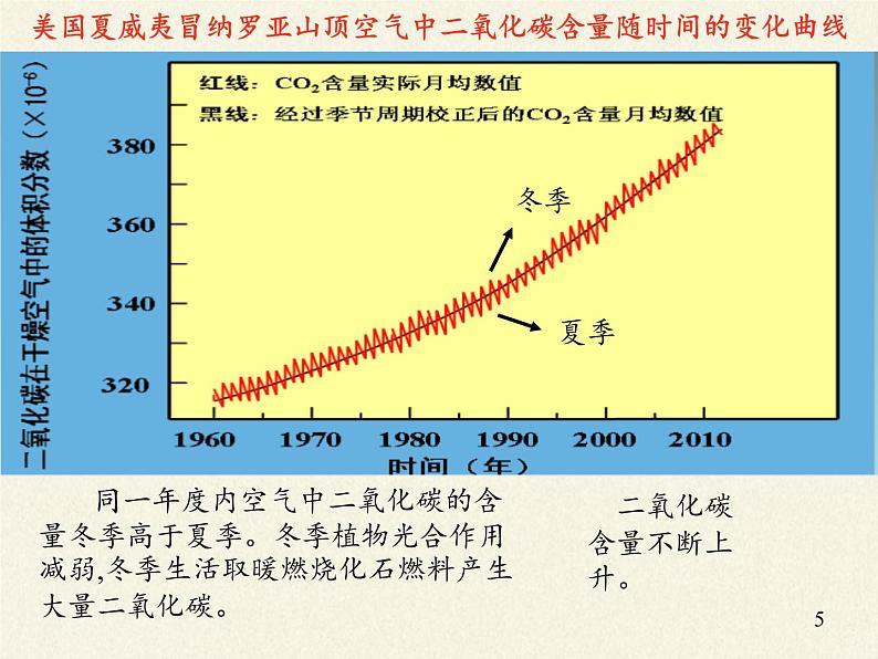 鲁教版九年级化学上册 6.3 大自然中的二氧化碳 课件第5页