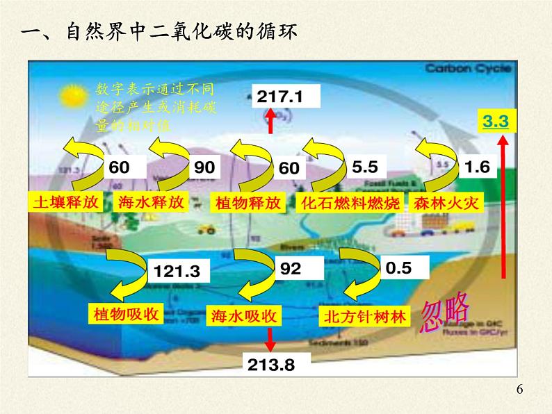 鲁教版九年级化学上册 6.3 大自然中的二氧化碳 课件第6页