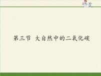 鲁教版第三节 大自然中的二氧化碳示范课ppt课件