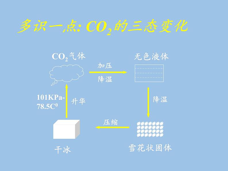 鲁教版九年级化学上册 6.3  大自然中的二氧化碳(2) 课件第7页