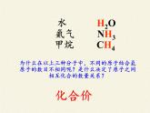 鲁教版九年级化学上册 4.2 物质组成的表示 课件
