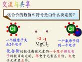 鲁教版九年级化学上册 4.2 物质组成的表示 课件