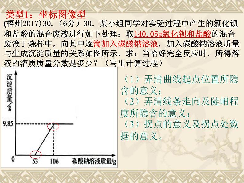 鲁教版九年级化学上册 5.3 中考专题复习：化学综合计算题 课件06