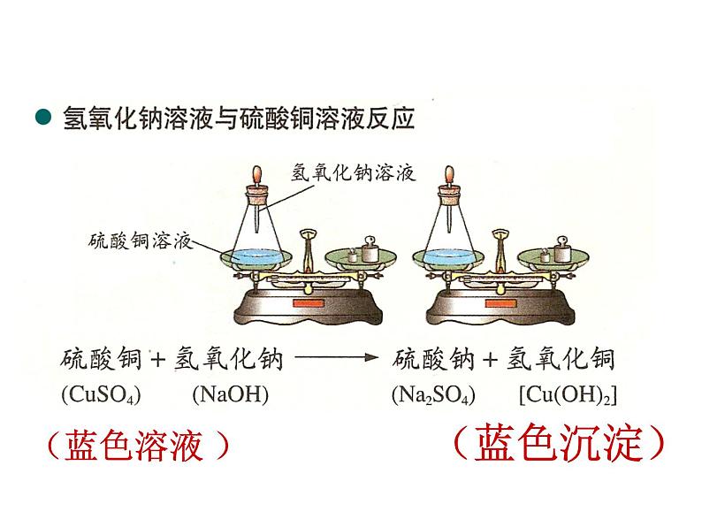 鲁教版九年级化学上册 5.1 质量守恒定律(2) 课件06