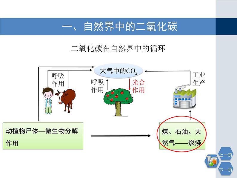 第2章《奇妙的二氧化碳》教学课件2第4页