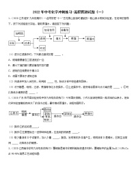 2022年中考化学冲刺练习流程图测试题（一）