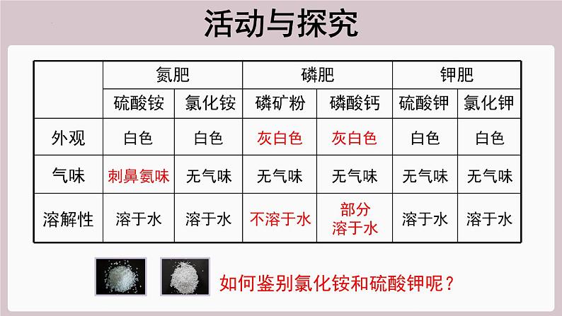 2022年中考化学总复习知识讲解---化学肥料的简易鉴别课件第6页