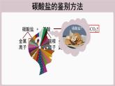 2022年中考化学总复习知识讲解碳酸盐的鉴别方法课件