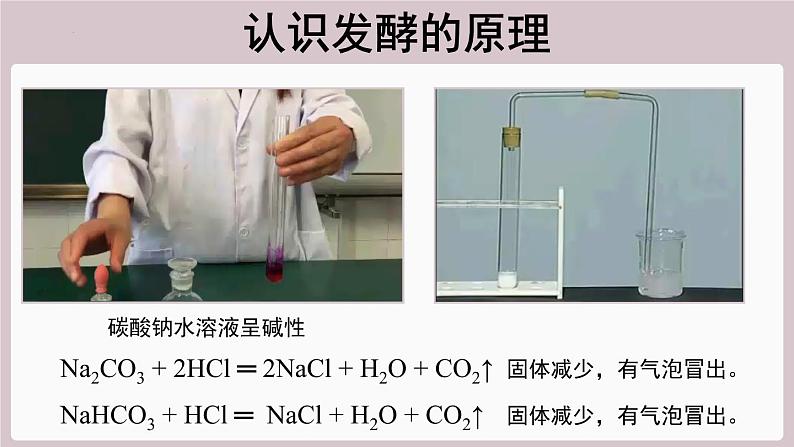 2022年中考化学总复习知识讲解发酵粉的“小秘密”课件第6页