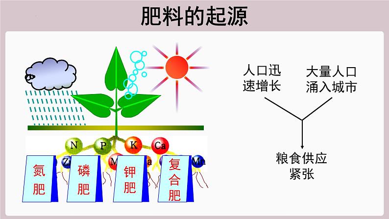 2022年中考化学总复习知识讲解肥料的种类及用途课件03