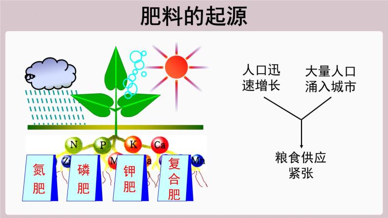 2022年中考化学总复习知识讲解肥料的种类及用途课件03