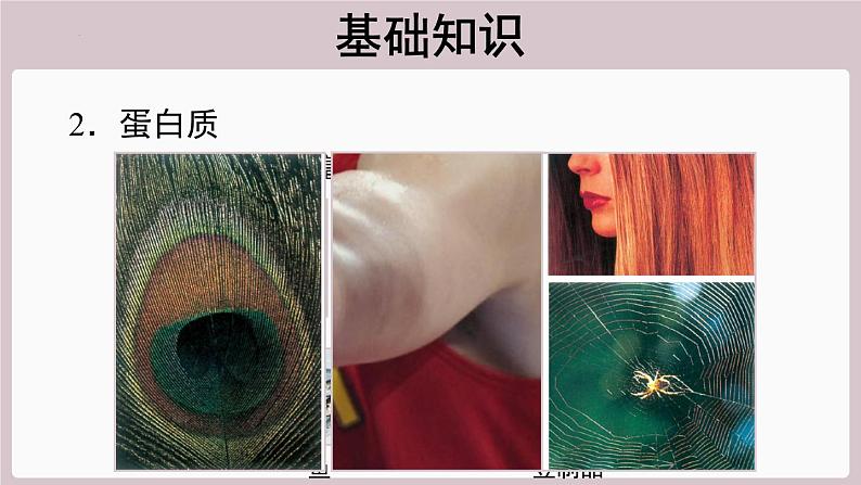 2022年中考化学总复习知识讲解合理膳食课件第7页