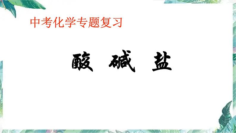 2022年中考化学酸碱盐专题复习课件PPT第1页