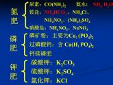 初中化学人教版九年级下册 课题2化学肥料 课件