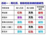 初中化学人教版九年级下册 实验活动7溶液酸碱性的检验 课件