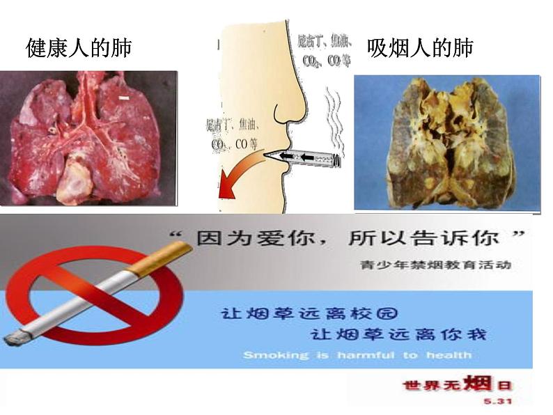 初中化学人教版九年级下册 课题1人类重要的营养物质2 课件第6页