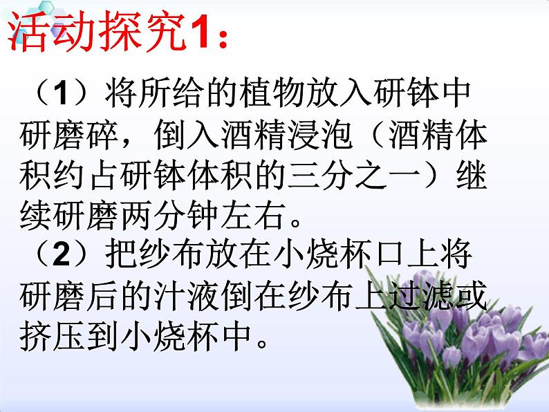 初中化学人教版九年级下册 课题1常见的酸和碱1 课件06