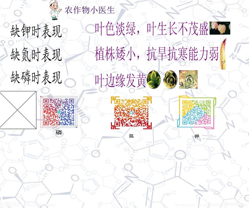 初中化学人教版九年级下册 课题2化学肥料1 课件第5页