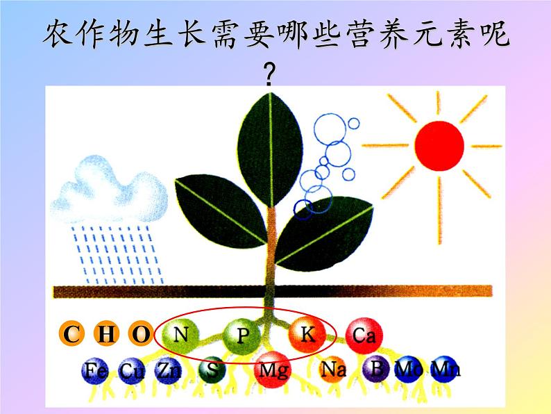 初中化学人教版九年级下册 课题2化学肥料2 课件第4页