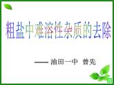 初中化学人教版九年级下册 实验活动8粗盐中难溶性杂质的去除1 课件