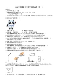 2022年安徽省中考模拟化学试题（十一）(word版含答案)