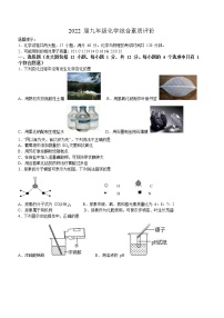 2022年安徽省六安市第九中学中考一模化学试题(word版无答案)