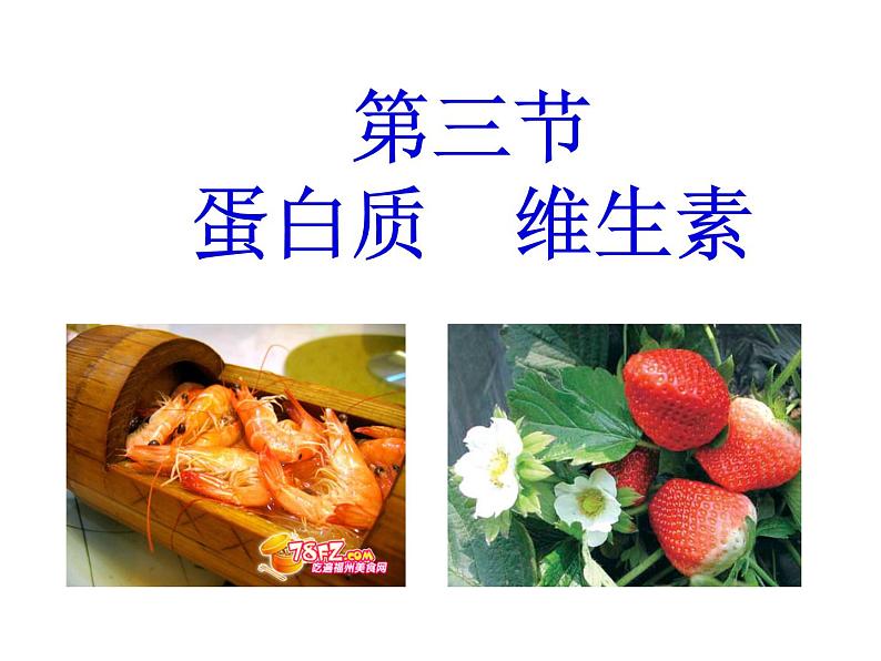 沪教版九下化学 8.3蛋白质 维生素 课件02