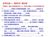 沪教版九下化学 8.3蛋白质 维生素 课件