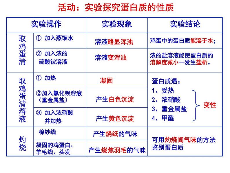 沪教版九下化学 8.3蛋白质 维生素 课件06