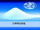 京改版九年级下册化学 12.1几种常见的盐 课件