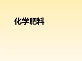 京改版九年级下册化学 12.3化学肥料 课件