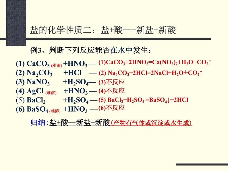 京改版九年级下册化学 12.2盐的性质 课件07