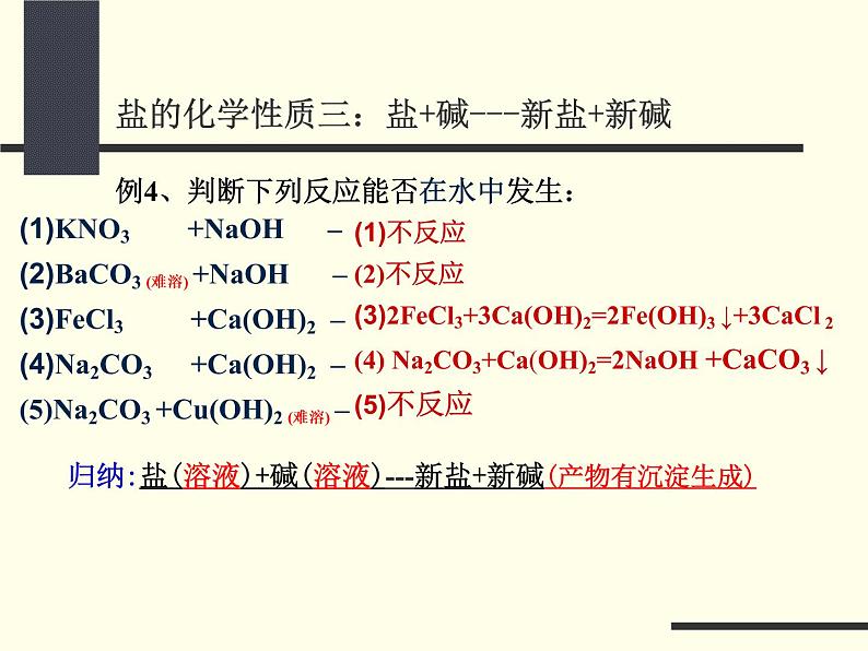 京改版九年级下册化学 12.2盐的性质 课件08