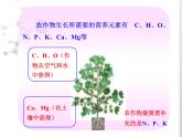 鲁教版九年级下册化学  11.3化学与农业生产 课件