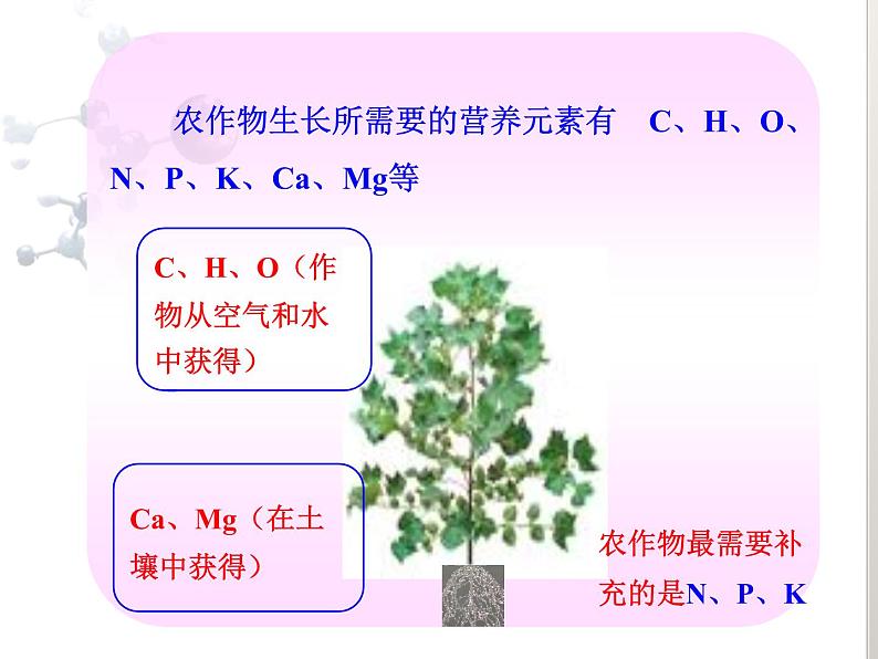 鲁教版九年级下册化学  11.3化学与农业生产 课件第4页