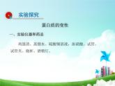 鲁教版九年级下册化学  10.3远离有毒物质 课件