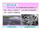 魯教版九年級(jí)下冊(cè)化學(xué)  11.4化學(xué)與環(huán)境保護(hù) 課件