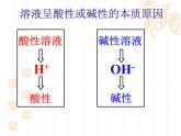 鲁教版九年级下册化学  7.3溶液的酸碱性 课件