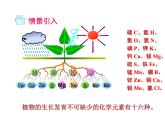 仁爱版九年级下册化学 7.3盐 化学肥料 课件