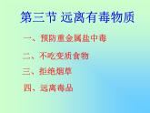 鲁教版九年级下册化学 10.3远离有毒物质 课件